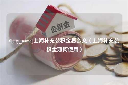 仁怀上海补充公积金怎么交（上海补充公积金如何使用）